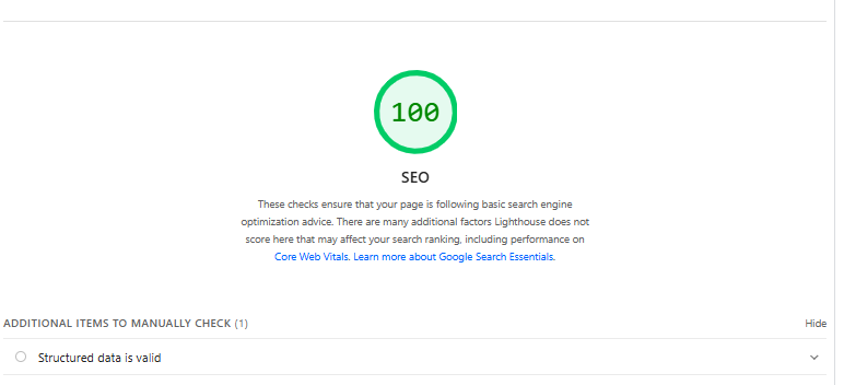 SEO score of 100 after full audit remediation